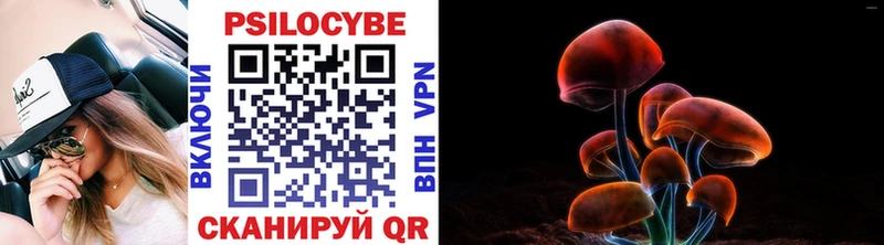 купить наркотик  Арск  Галлюциногенные грибы Cubensis 